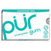 PUR Gum Wintergreen Sugar-Free Gum, 12.6g PUR Gum